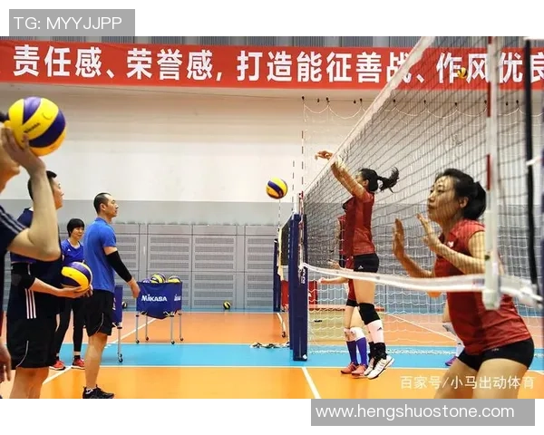 北京排球队技术变革引发热议助力球队新征程