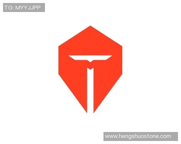 深入分析TES战队在CSGO中的防守策略与战术布局 深入分析TES战队在CSGO中的防守策略与战术布局